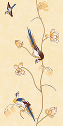 rajskie-pticy9005-1